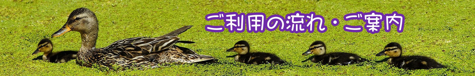 ご利用の流れ・ご案内